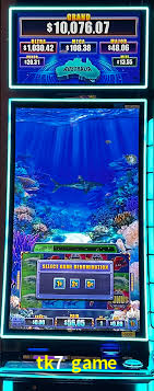 A Experiência Imersiva dos Cassinos Ao Vivo no tk7 game